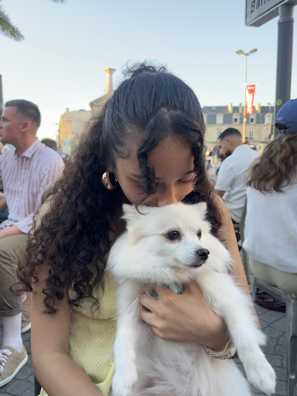 Animaux — moment avec un chien
